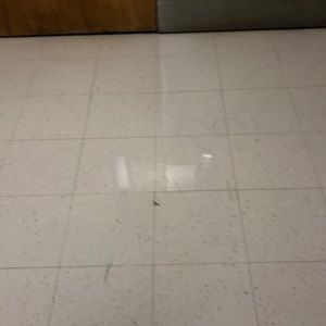 Meet your Posher, Leah